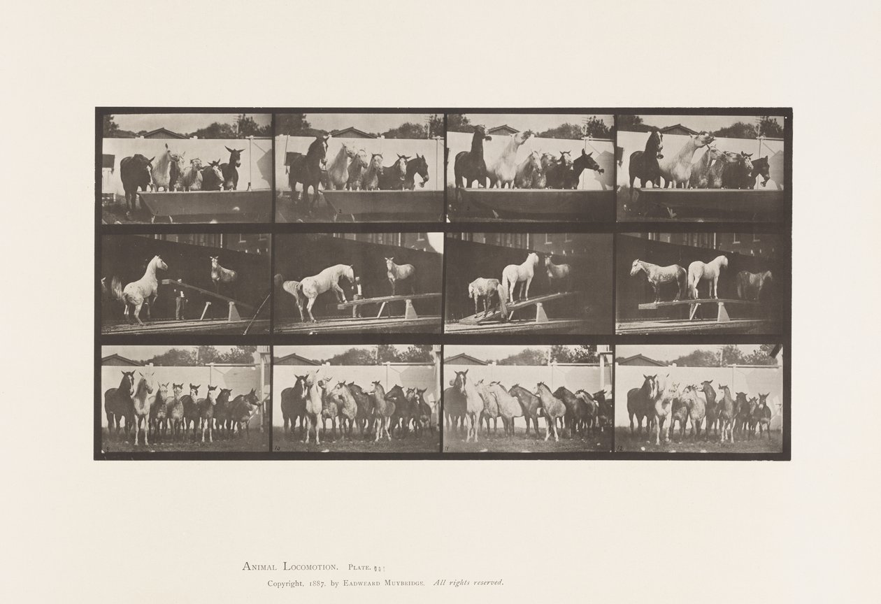 651.A tábla, Harangszó; B, Teeter Board; C, katonai gyakorlat alkotó: Eadweard Muybridge