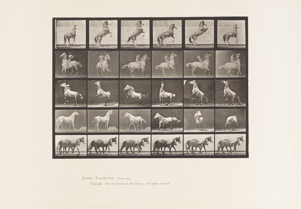 tábla 652. A, B, C, D, E, Lónevelés stb. alkotó: Eadweard Muybridge