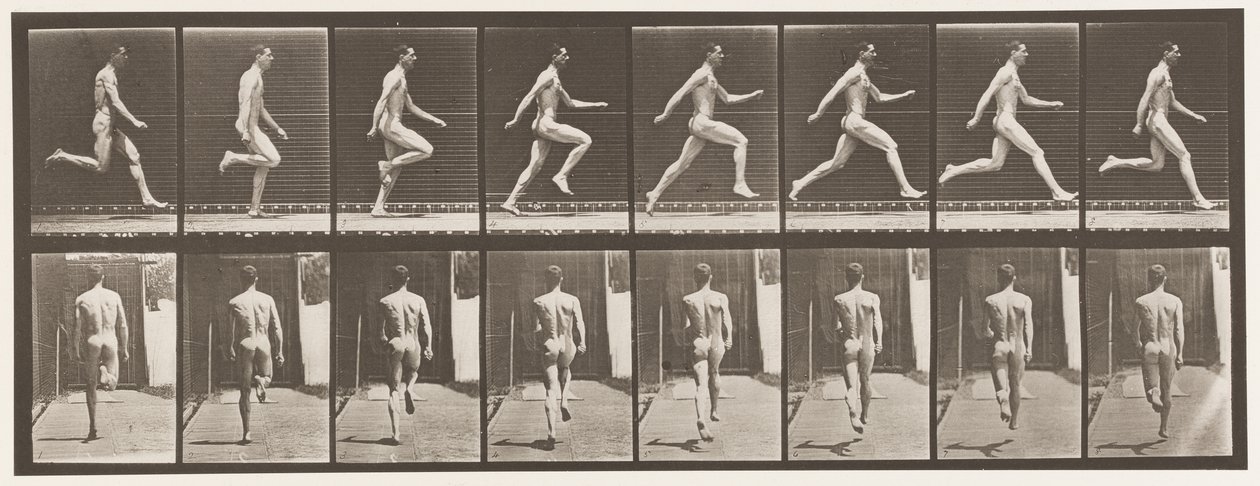 65. tábla. Teljes sebességgel futás., 1872-1885 alkotó: Eadweard Muybridge
