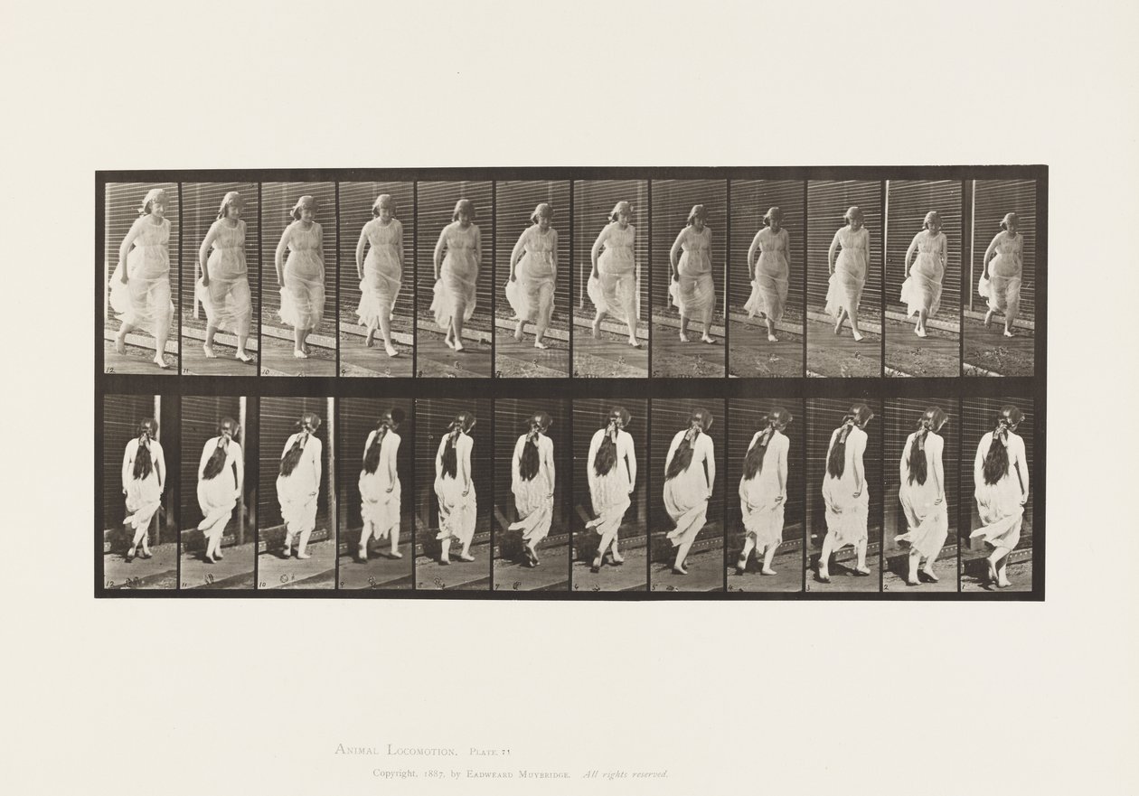 71. tábla.Futó, 1885 alkotó: Eadweard Muybridge
