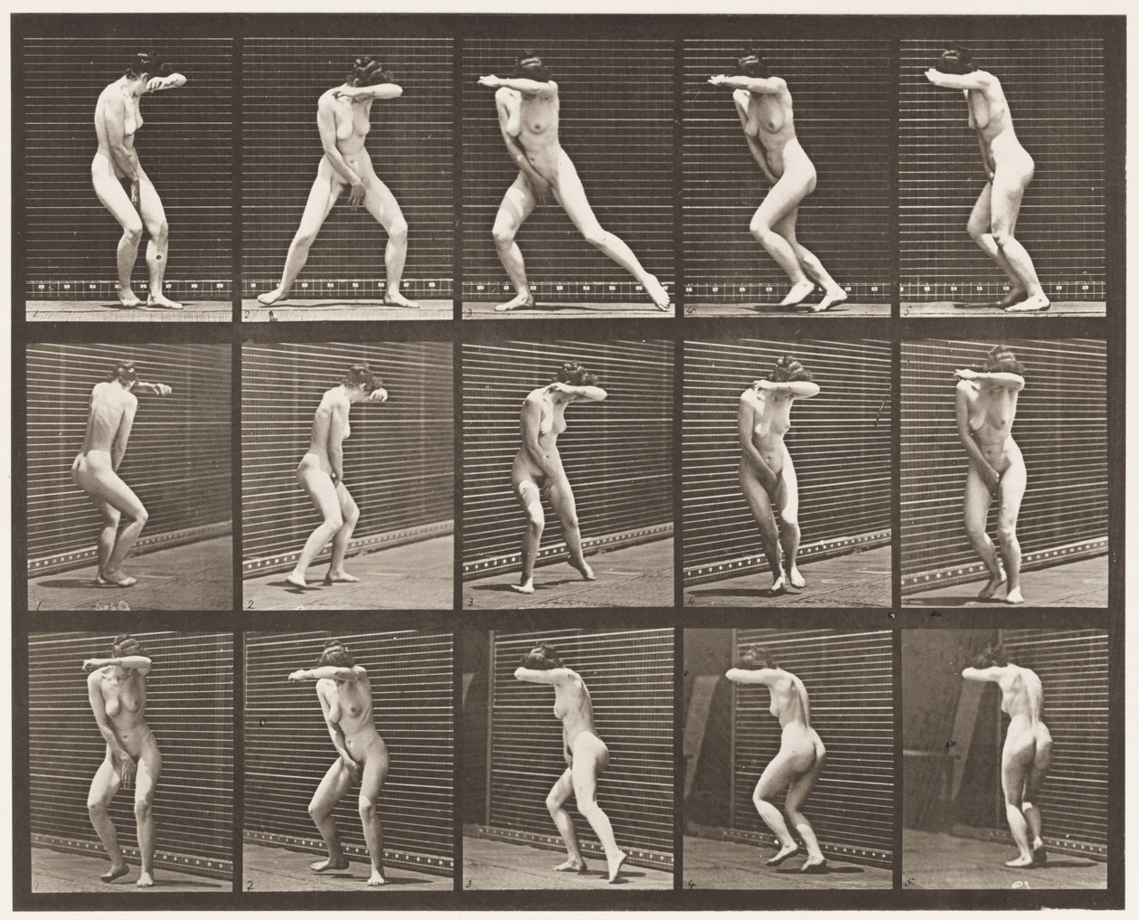 73. tábla. Megfordulás meglepetésében és menekülés, 1872-1885 alkotó: Eadweard Muybridge