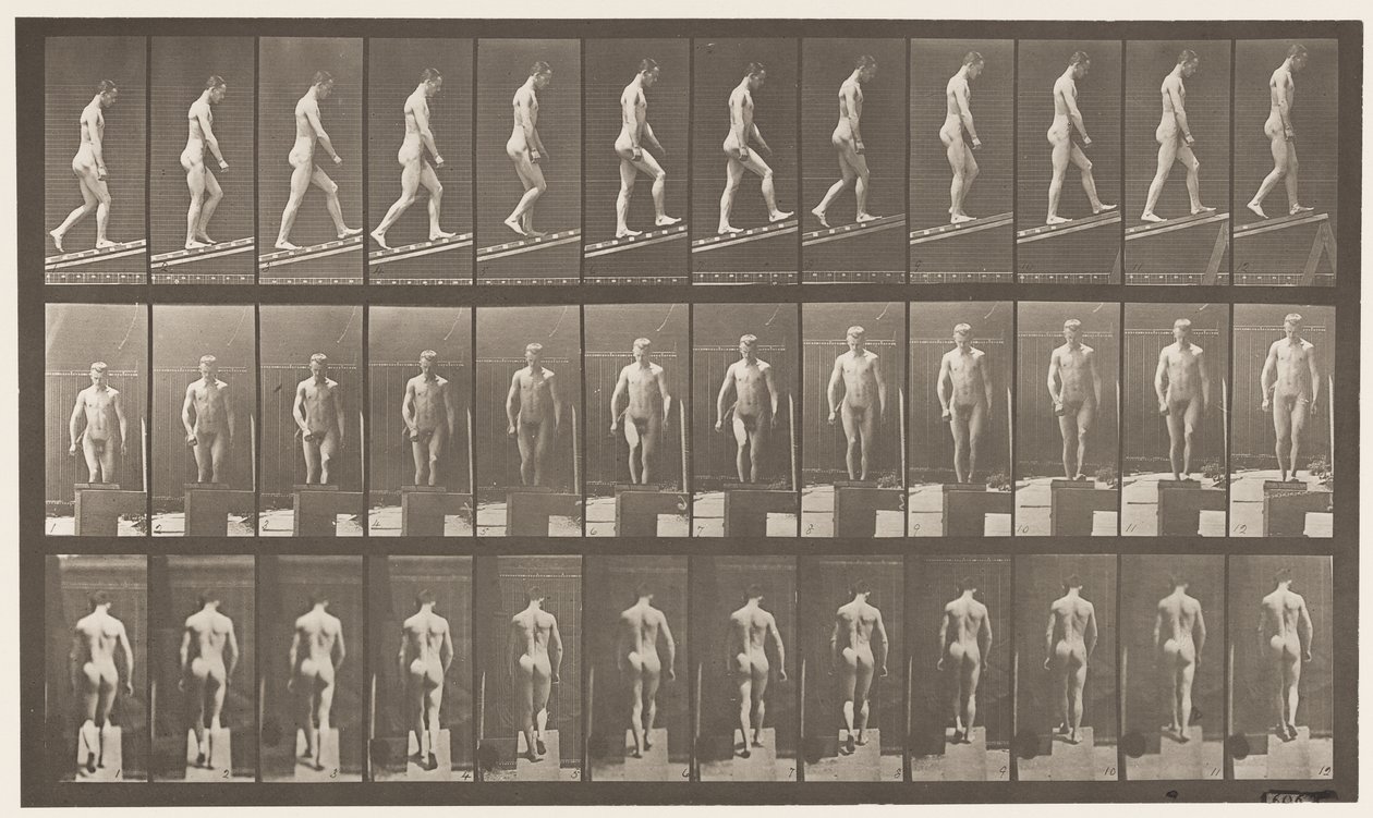 74. tábla. Emelkedő lejtő, szög 1 a 4-ben alkotó: Eadweard Muybridge