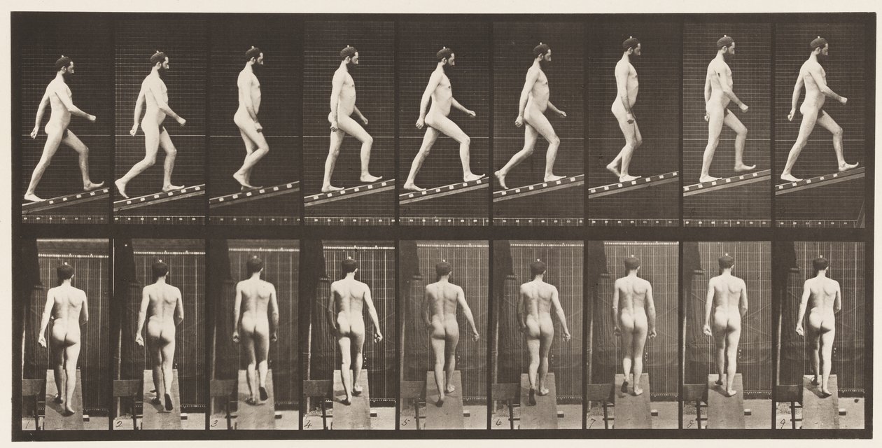 75. tábla. Emelkedő dőlésszög, 1 in 4, 1872-1885 alkotó: Eadweard Muybridge