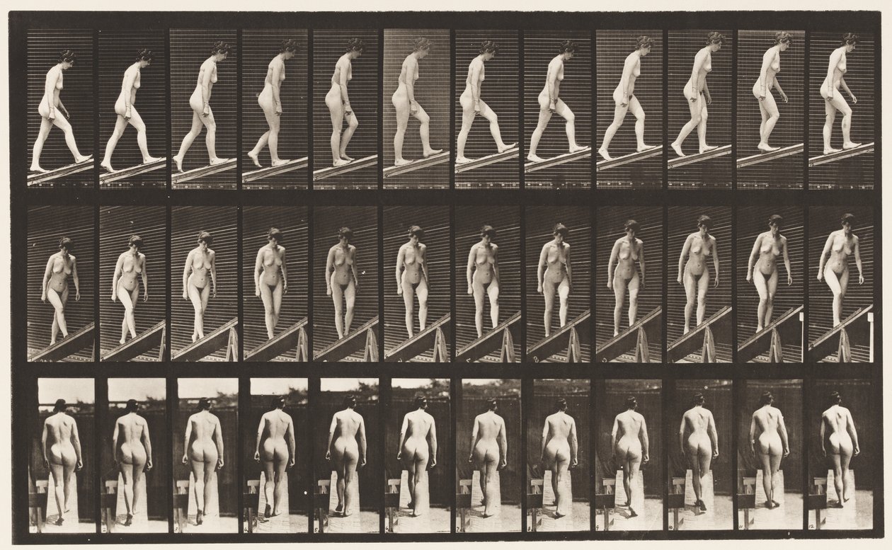 76. tábla. Emelkedő lejtő alkotó: Eadweard Muybridge