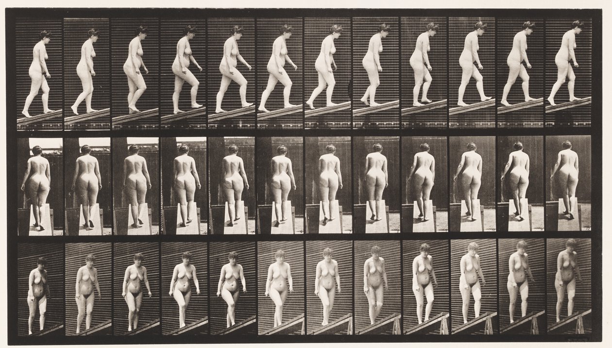 77. tábla. Emelkedő lejtő alkotó: Eadweard Muybridge