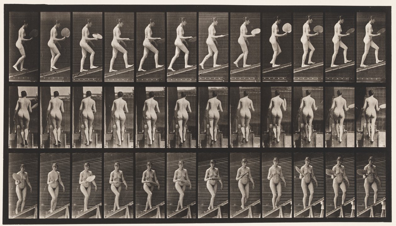 78. tábla. Emelkedő lejtő, flörtölni egy rajongó, 1872-1885 alkotó: Eadweard Muybridge