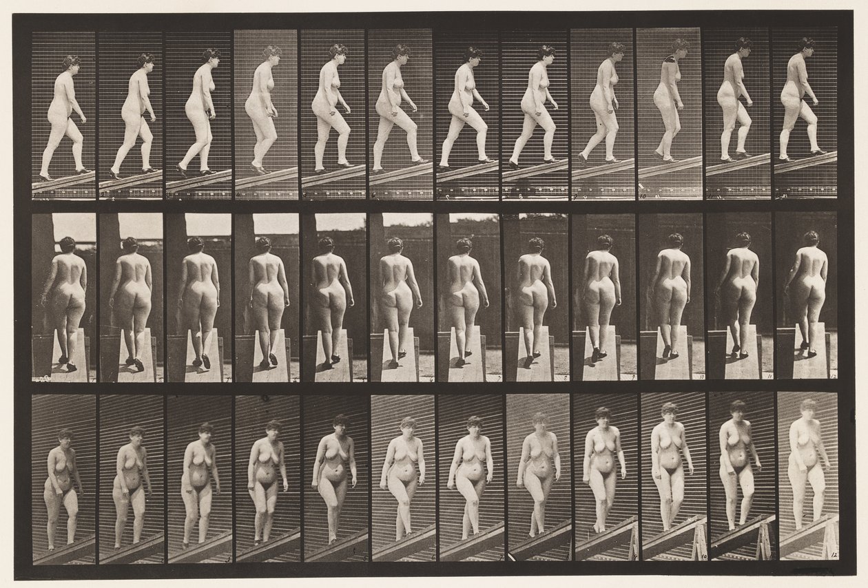 86. tábla. Emelkedő lejtő alkotó: Eadweard Muybridge
