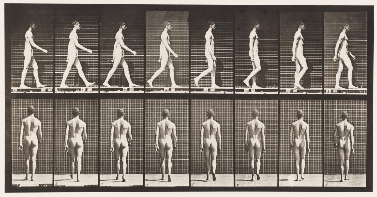 Tányér 8. Séta alkotó: Eadweard Muybridge