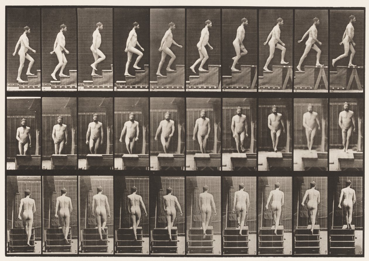 90. tábla. Felmenő lépcsők alkotó: Eadweard Muybridge