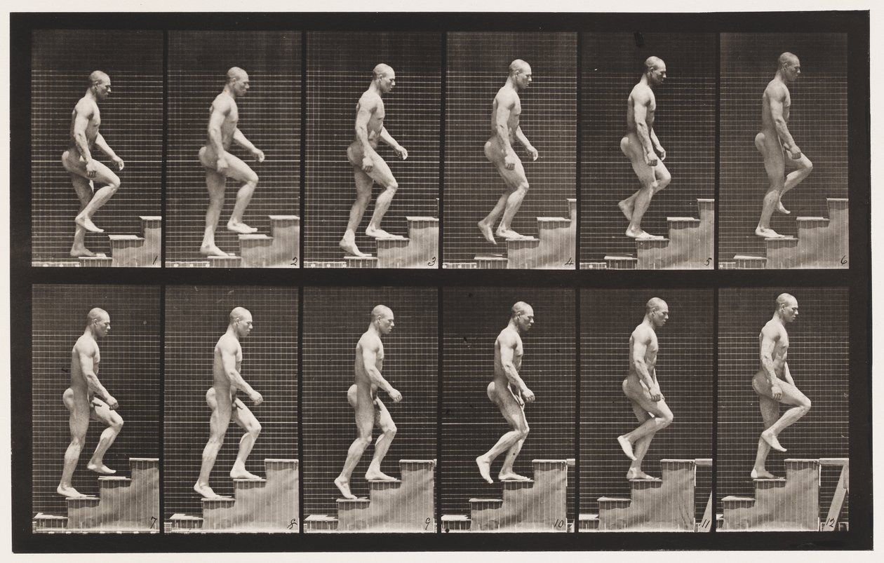 91. tábla. Felmenő lépcsők alkotó: Eadweard Muybridge