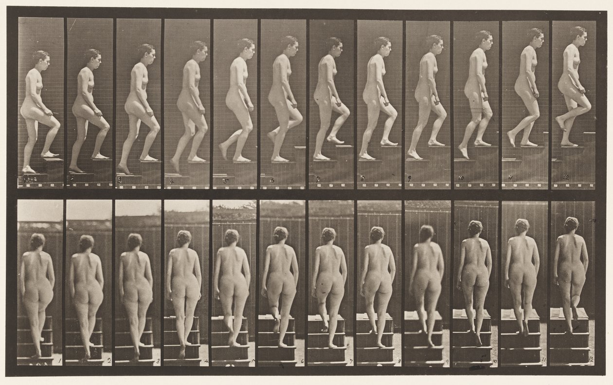 92. tábla. Felmenő lépcsők alkotó: Eadweard Muybridge