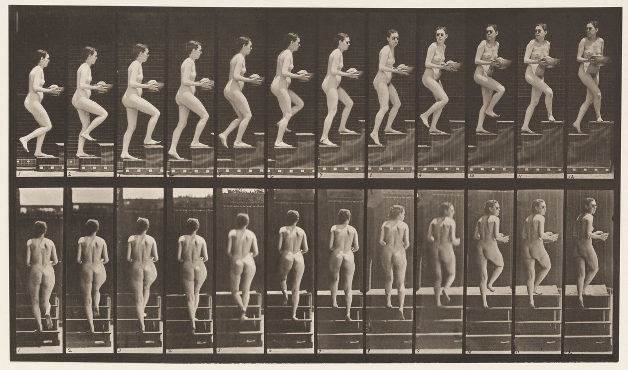 94. tábla. Felmenő lépcsők körülnézve; Medence a kezében alkotó: Eadweard Muybridge