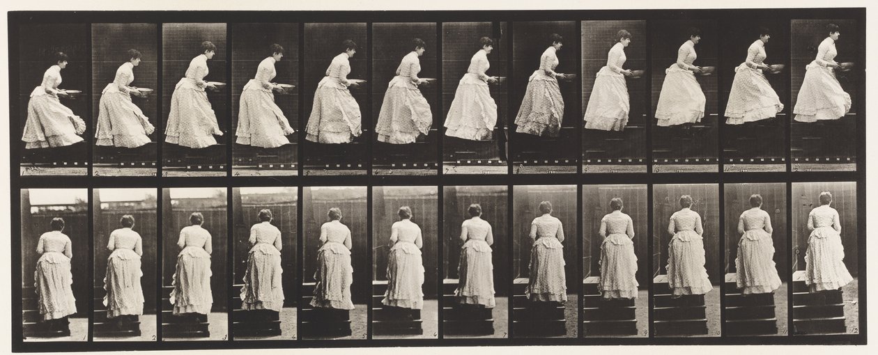 95. tábla. Felmenő lépcsők, kézben lévő medence, 1885 alkotó: Eadweard Muybridge