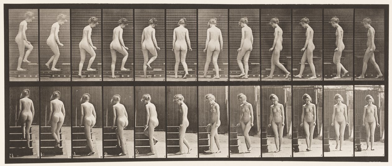 98. tábla Forduló és felmenő lépcsők, 1872-1885 alkotó: Eadweard Muybridge