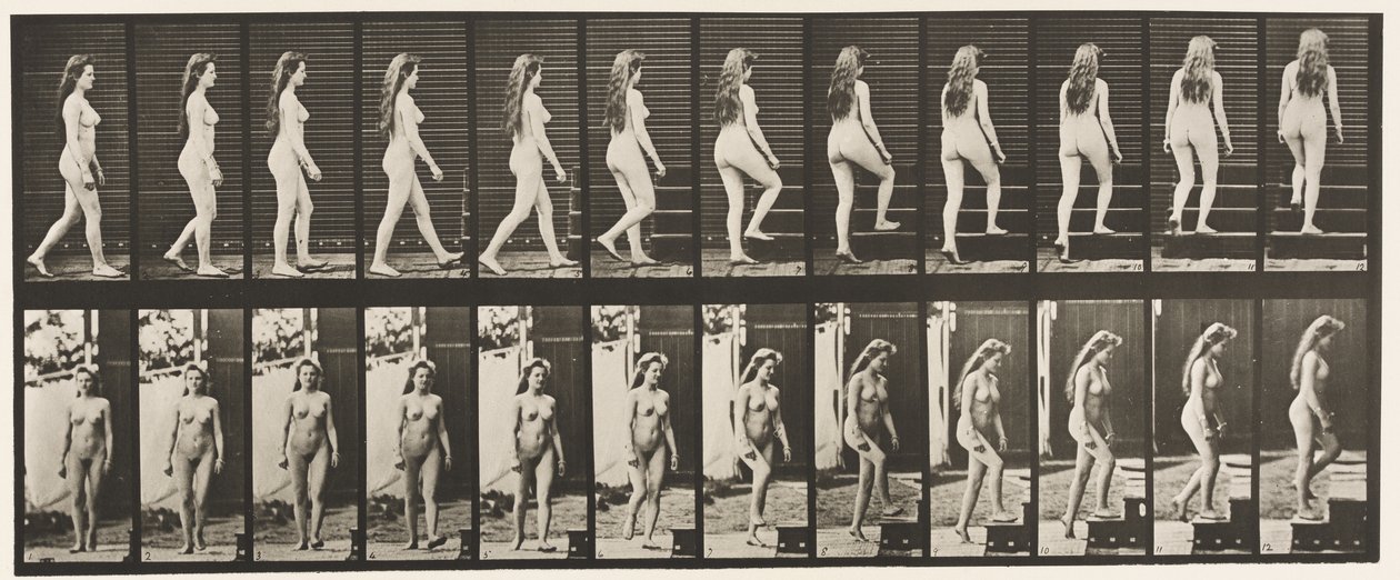 99. tábla. Forduló és felszálló lépcsők alkotó: Eadweard Muybridge