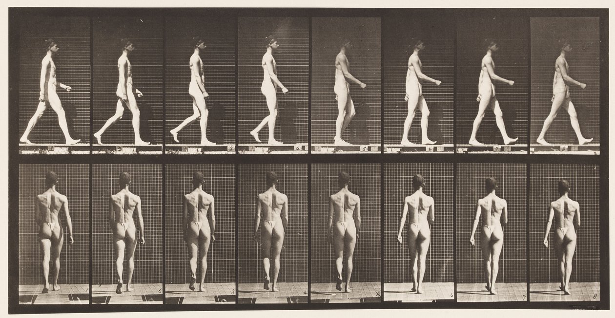 9. tábla Séta, 1872-1885 alkotó: Eadweard Muybridge