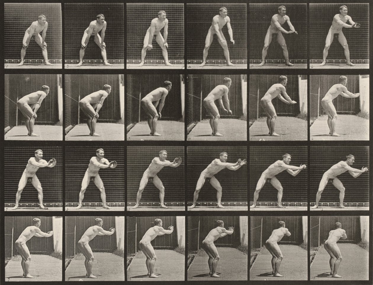 280. számú tábla. Baseball, labdaelkapás alkotó: Eadweard Muybridge