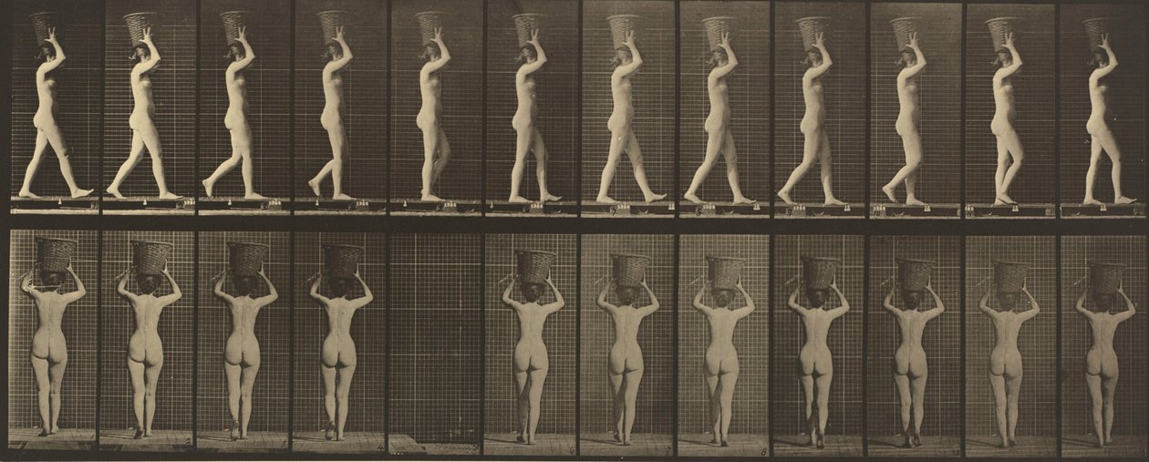 34. tábla. Séta és 15 font súlyú kosár fején való cipelése, felemelt kezek alkotó: Eadweard Muybridge