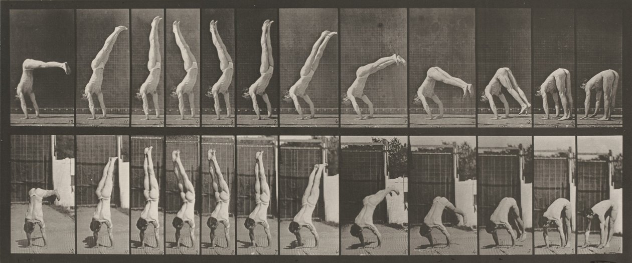 371-es számú tányér. Akrobata, függőleges "felfelé nyomó",1887 (fénykép) alkotó: Eadweard Muybridge