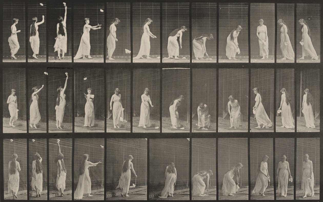 463. számú tábla. Nyújtózás, lehajlás és megfordulás alkotó: Eadweard Muybridge