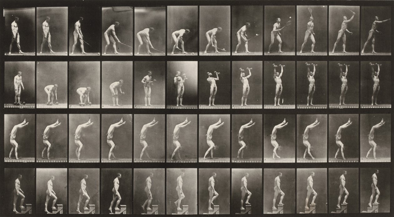 488. számú tábla. A: Füves tenisz. B: Kézisúlyzók. C: Kézen járás. D: Lépcsőn felmenés alkotó: Eadweard Muybridge