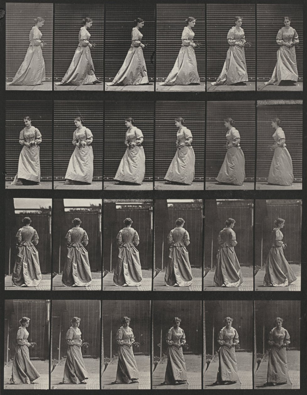 48. tábla. Séta és megfordulás csokorral mindkét kézben alkotó: Eadweard Muybridge