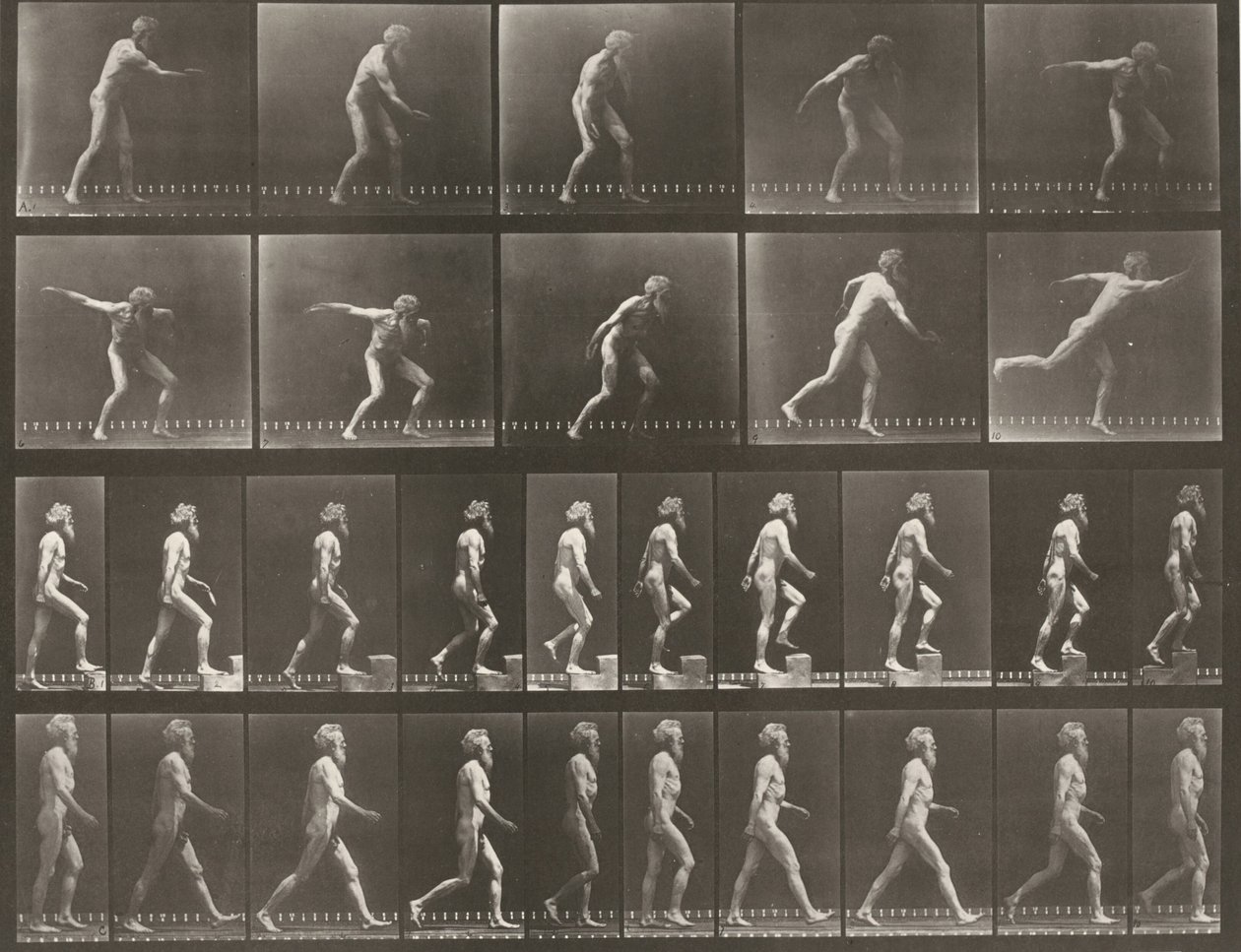 519. számú tábla. A: Diszkoszvetés. B: Fellépés egy lépcsőfokra. C: Séta alkotó: Eadweard Muybridge