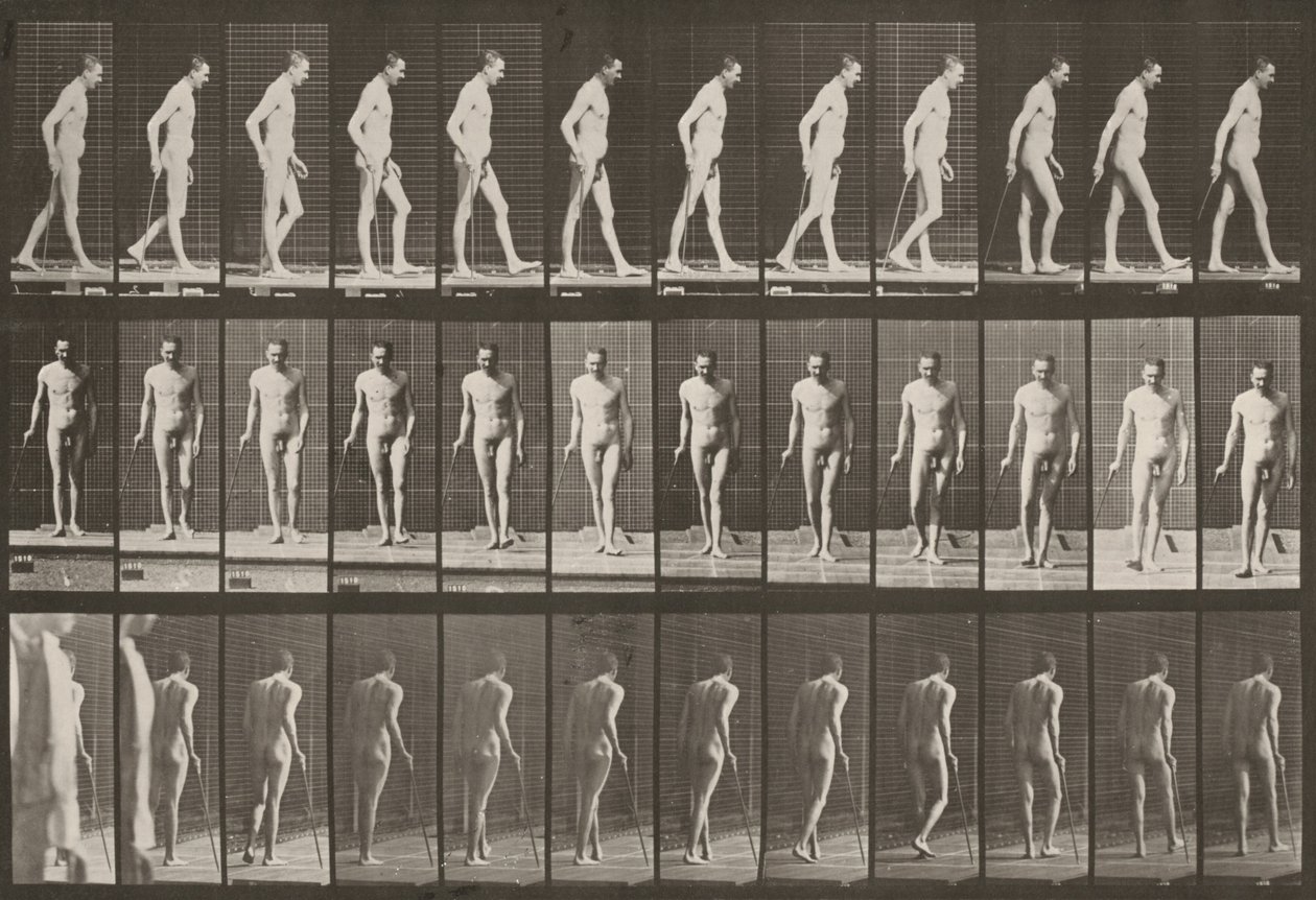 559. tábla. Részleges paraplégia, járás bottal alkotó: Eadweard Muybridge