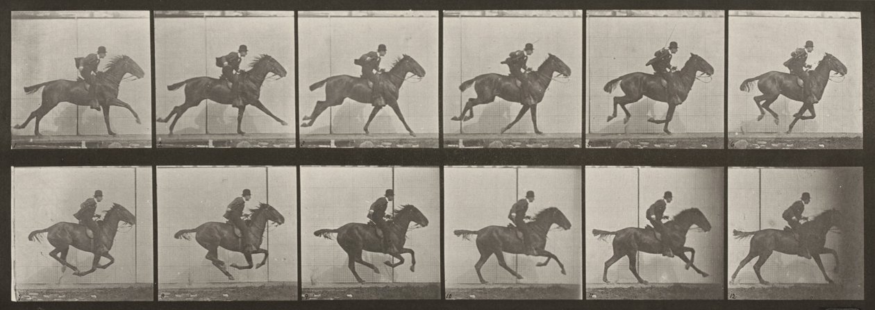624. számú tábla. „Daisy” vágtat, felnyergelve alkotó: Eadweard Muybridge