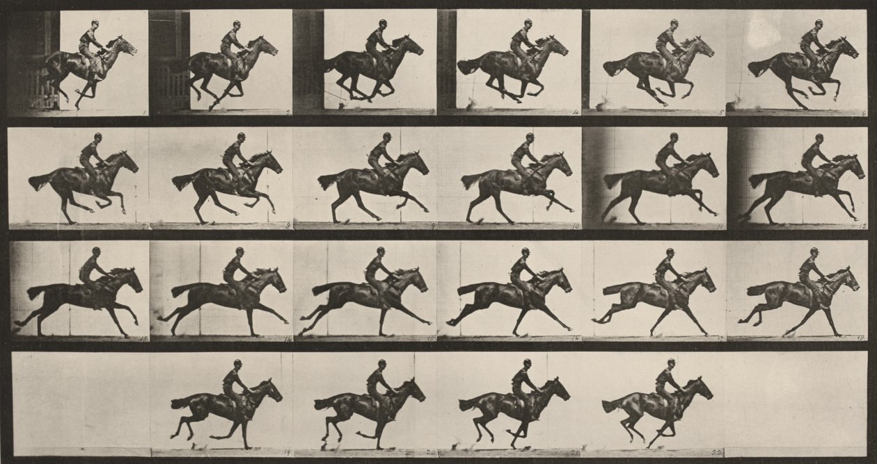 625. számú tábla. „Bouquet” vágtában alkotó: Eadweard Muybridge