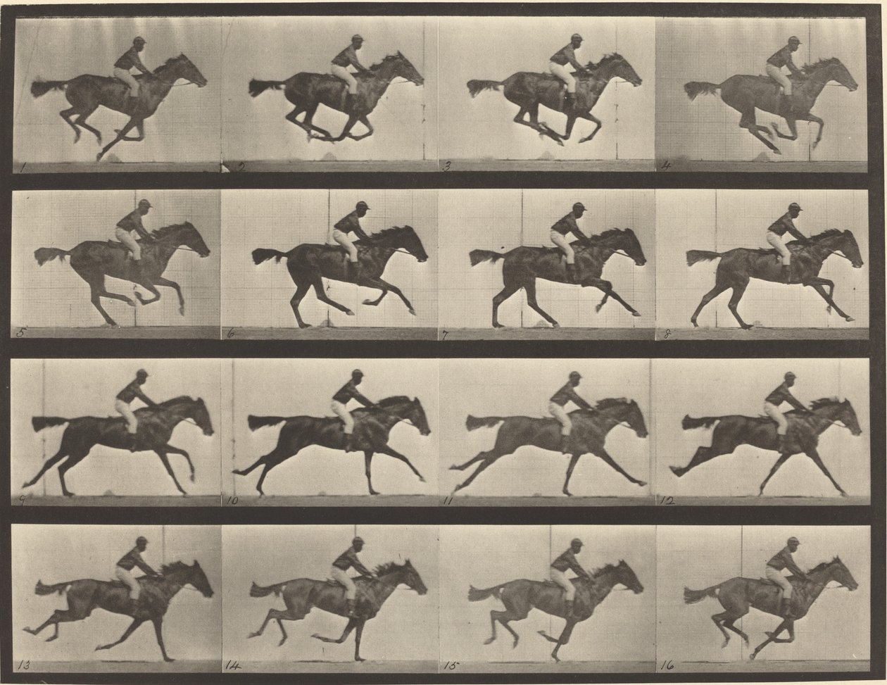 626. rendszám. Vágta, telivér öböl kanca, Annie G. alkotó: Eadweard Muybridge