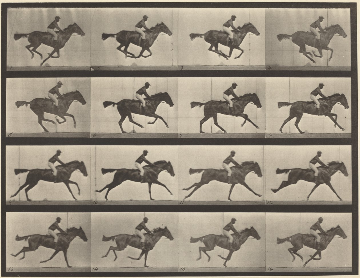 626. tábla. Vágta, telivér pej kanca, Annie G. alkotó: Eadweard Muybridge