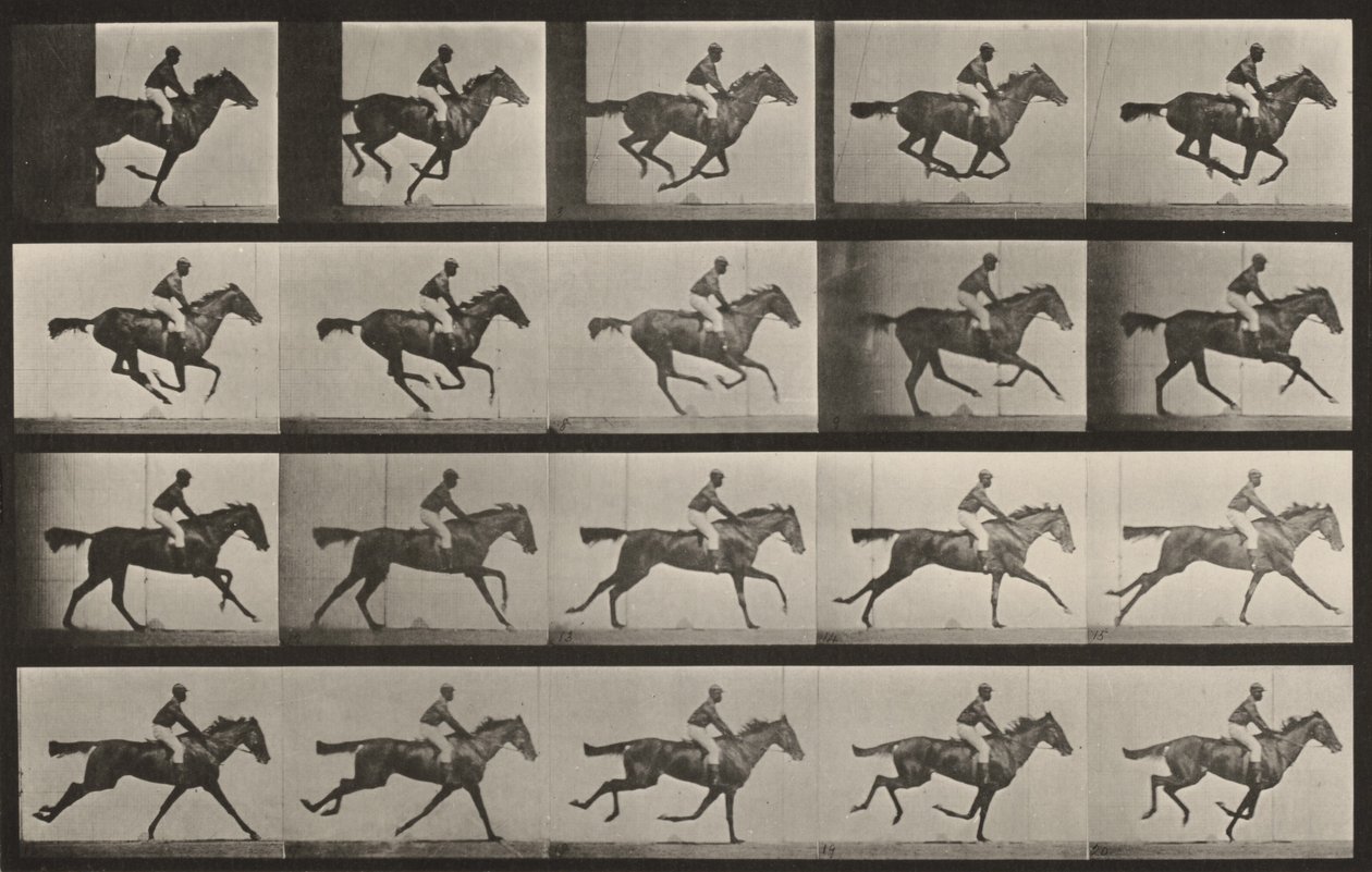 627. számú tábla. „Annie G.” vágtában alkotó: Eadweard Muybridge
