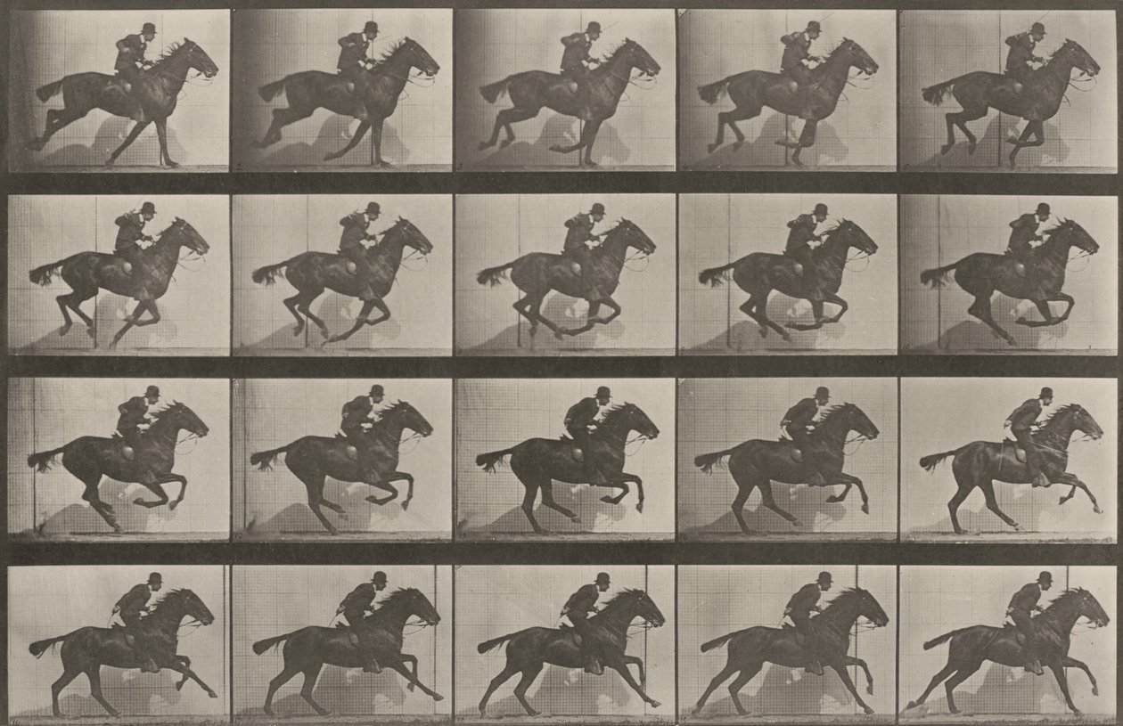 628. tábla. „Daisy” vágtában alkotó: Eadweard Muybridge