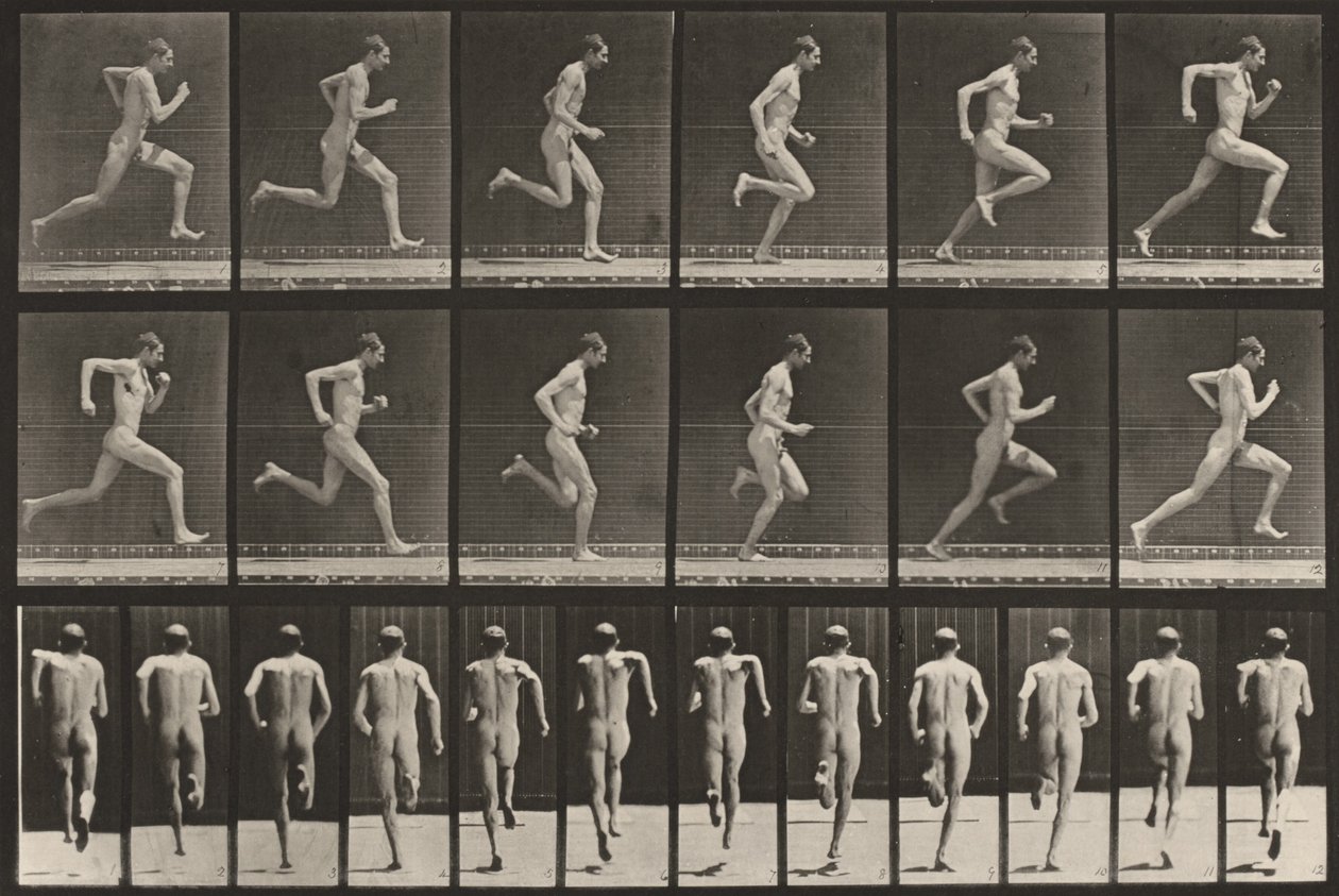 62. tábla. Futás teljes sebességgel alkotó: Eadweard Muybridge