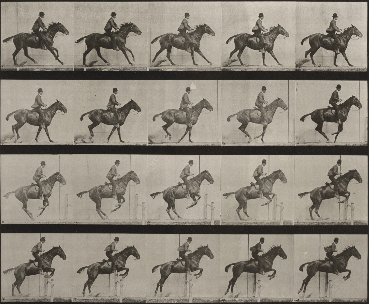 636. tábla. „Daisy” nyeregben átugrik egy akadályt, felkészülve az ugrásra alkotó: Eadweard Muybridge