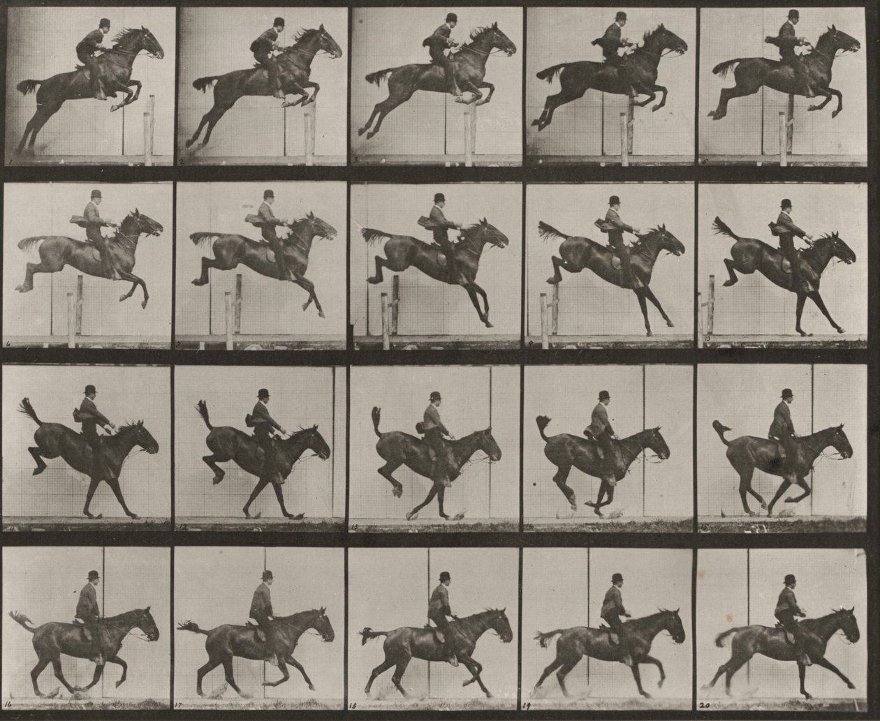637. számú tábla. „Daisy” akadályt ugrik, felnyergelve, az akadály átvétele, földet érése és felépülése közben alkotó: Eadweard Muybridge