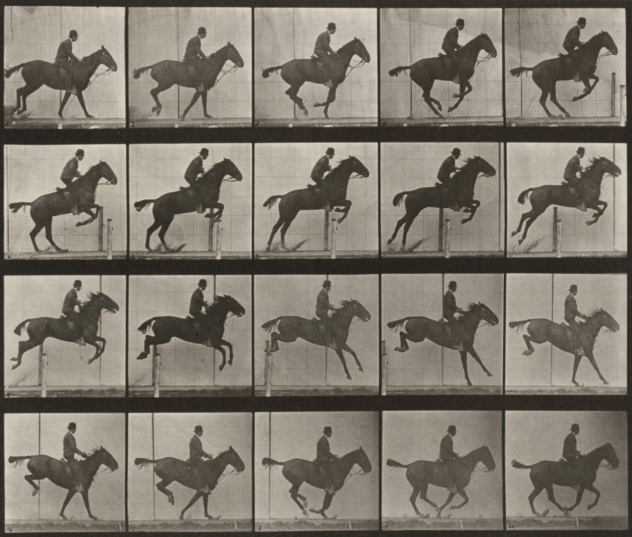 639. tábla. „Daisy” akadályt ugrik, felnyergelve alkotó: Eadweard Muybridge