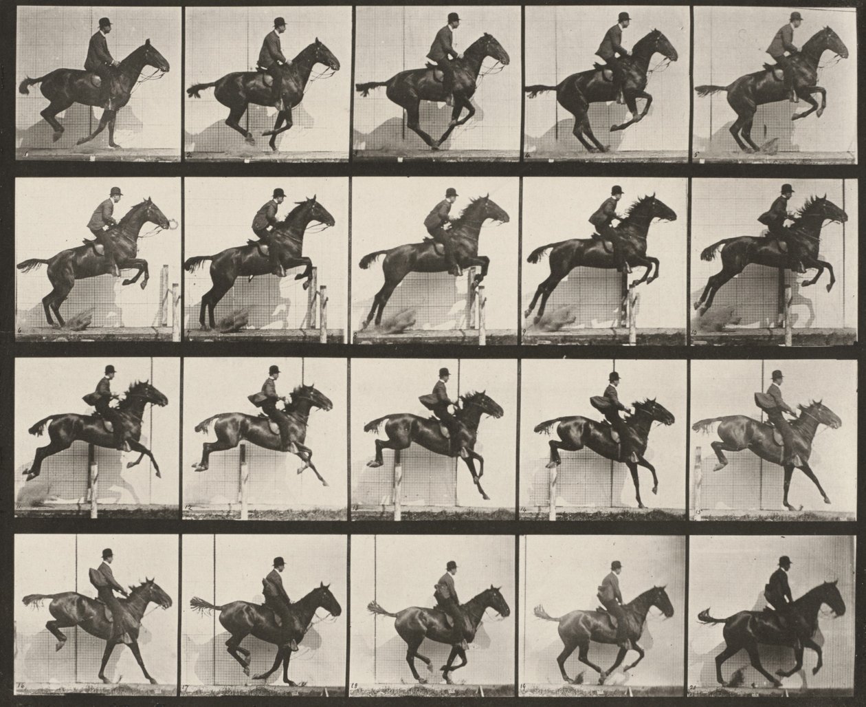 640. tábla. „Daisy” felnyergelve átugrik egy akadályt alkotó: Eadweard Muybridge