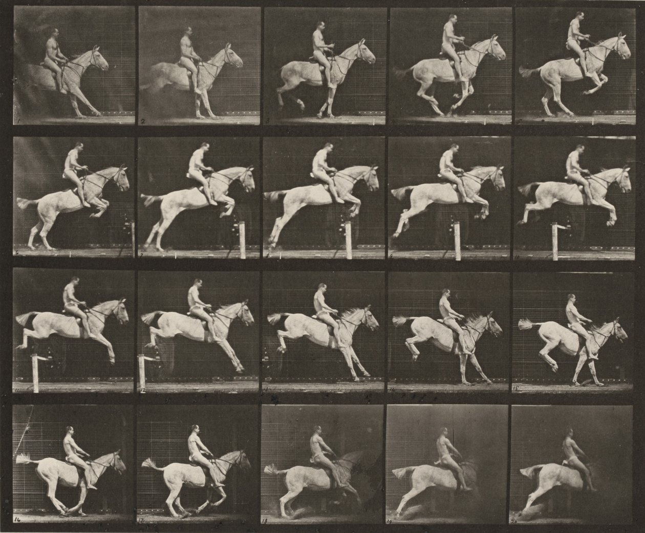 642. tábla. „Pandora” akadályt ugrik, felnyergelve; lovasa meztelen alkotó: Eadweard Muybridge