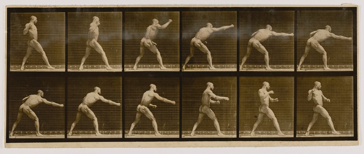 Ökölvívó ütés, az Animal Locomotion című könyvből alkotó: Eadweard Muybridge