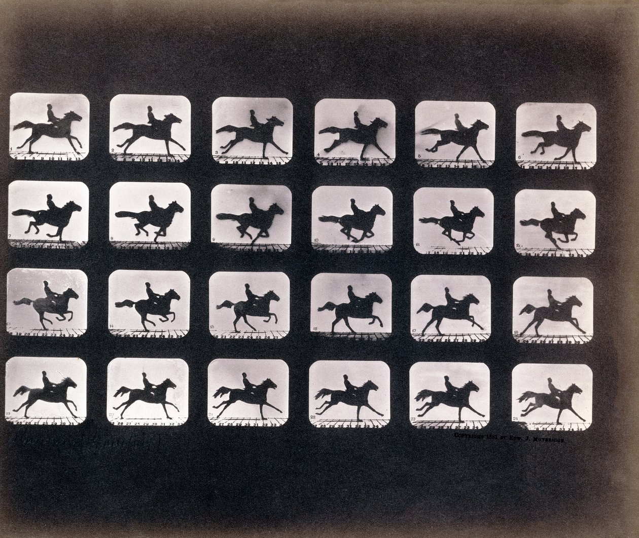 Futás (vágtatva) – Eadweard J. Muybridge alkotó: Eadweard Muybridge