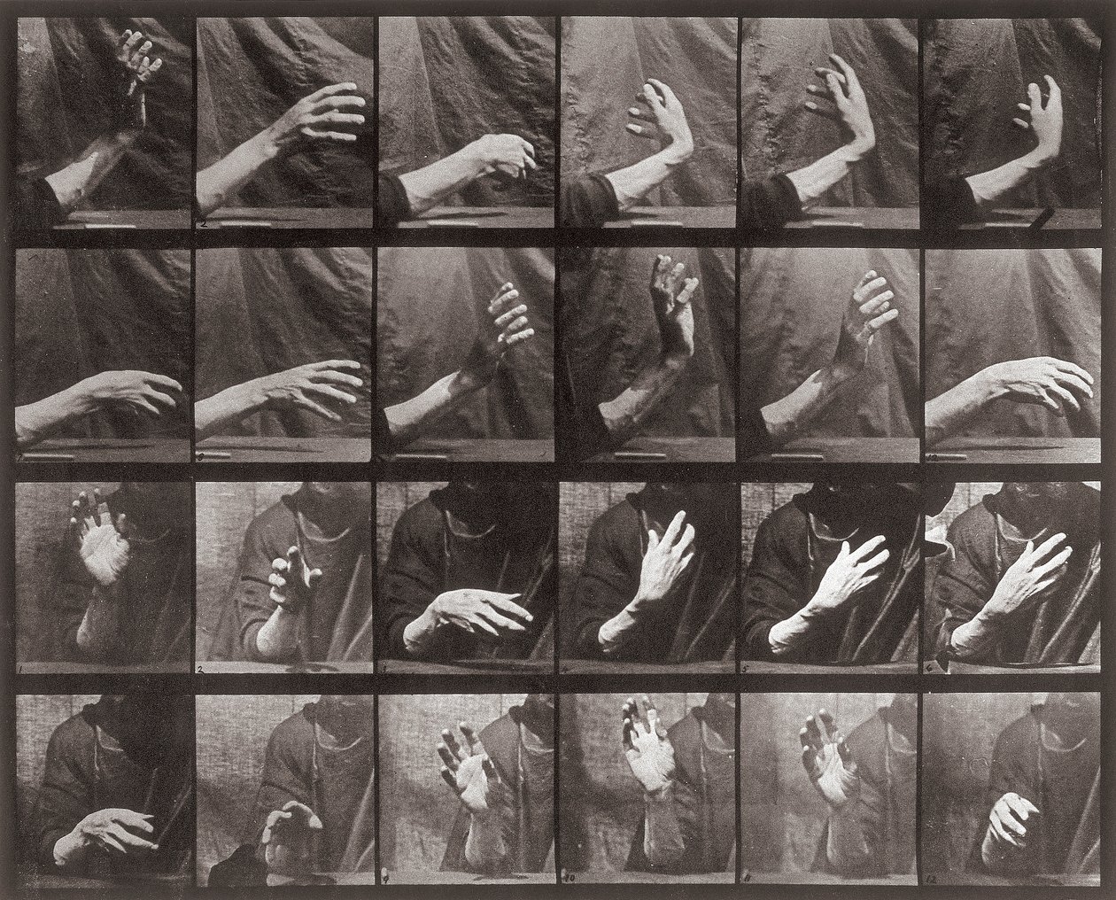 Sorozat kézmozdulattal, 535-ös lemez az Animal Locomotion-tól (kollotípus) alkotó: Eadweard Muybridge