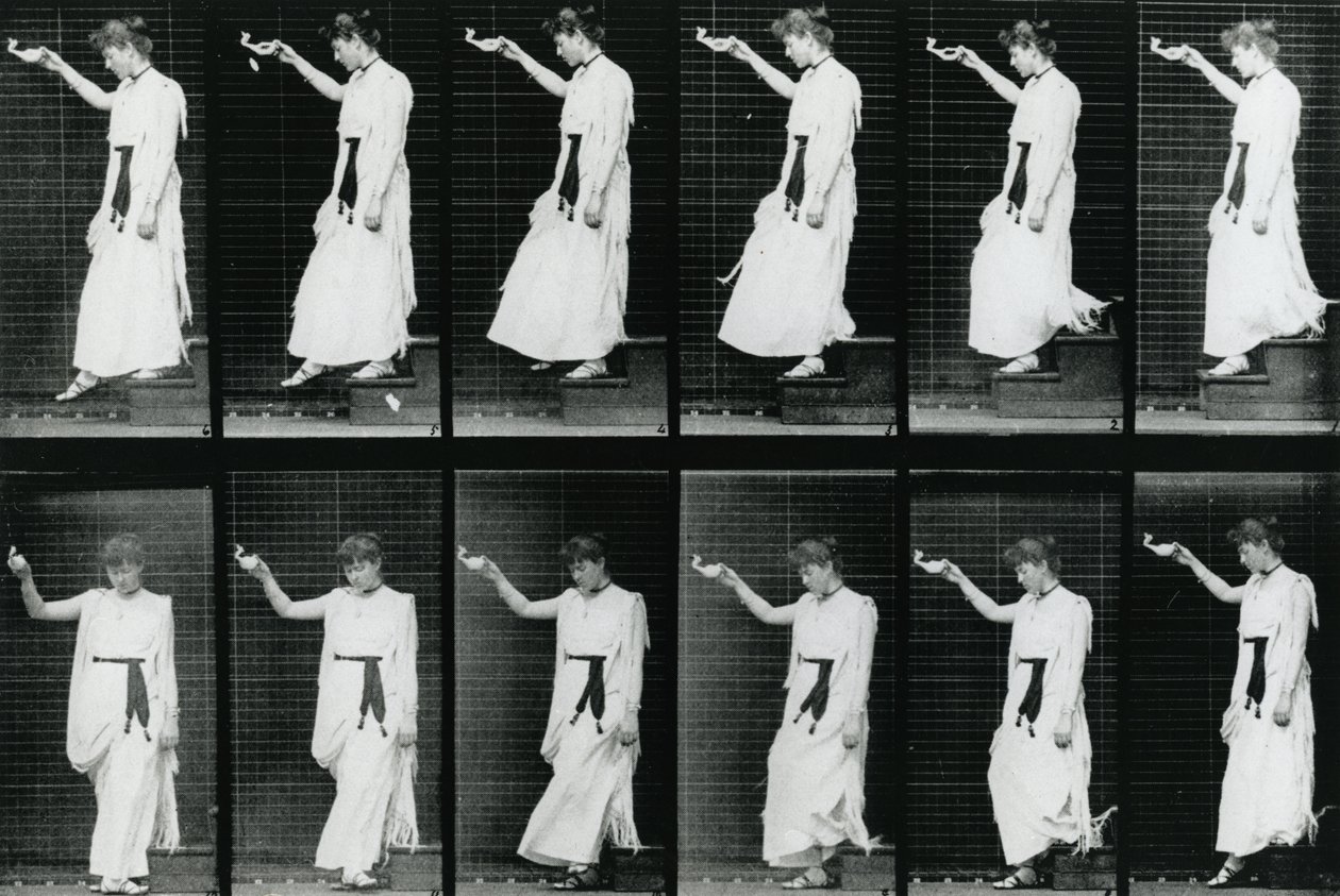 Nő. Descending a Stairway, 1887, illusztráció Eadweard Muybridge „The Human Figure in Motion” című művéből, 1904-ben megjelent kiadás alkotó: Eadweard Muybridge