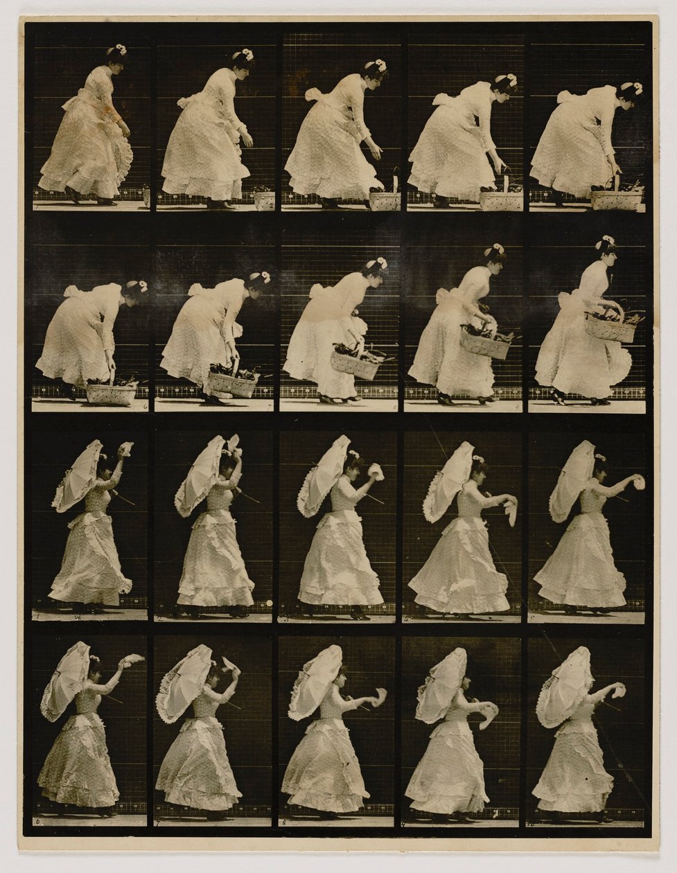 Nő kosarat emel, zsebkendőt lenget, az Animal Locomotion című könyvből alkotó: Eadweard Muybridge