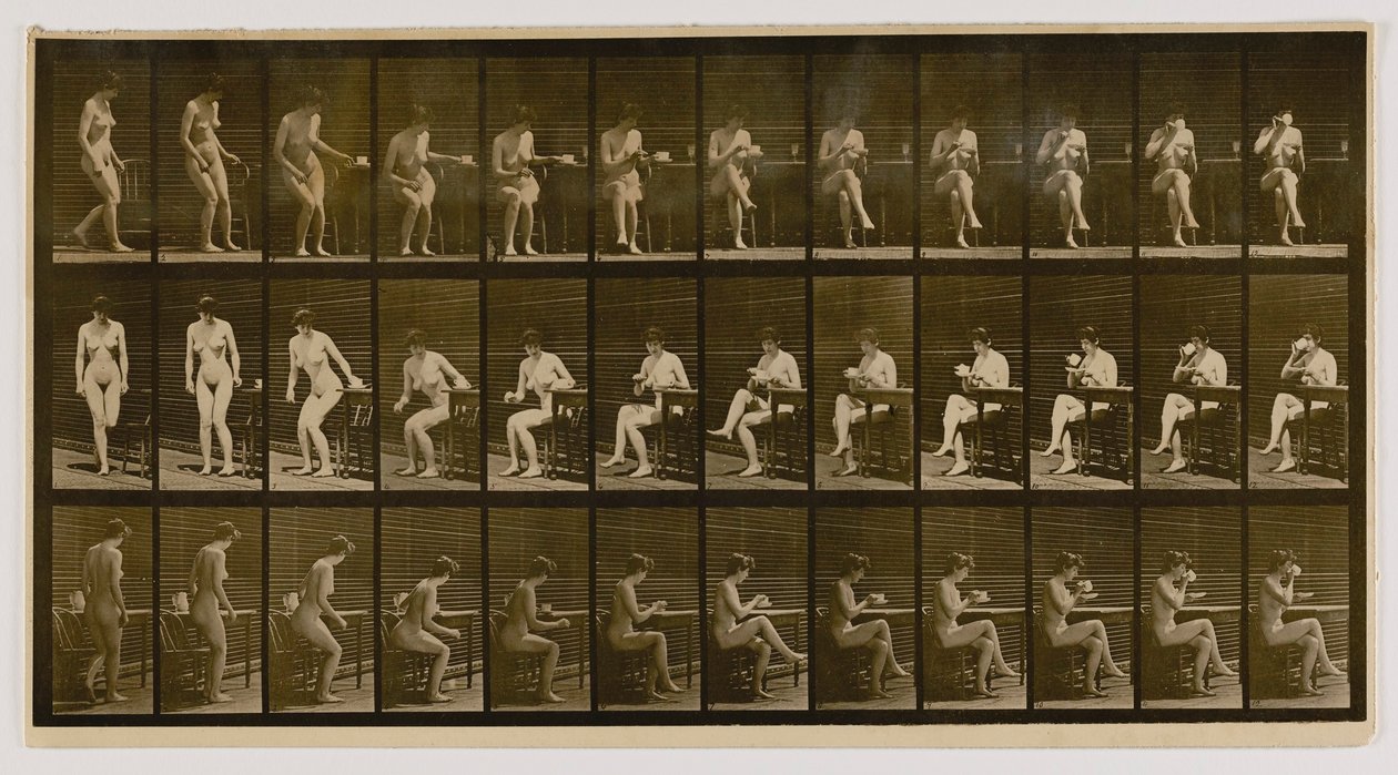 Ülő nő, keresztbe tett lábakkal, teáscsészéből iszik, az Animal Locomotion című könyvből. alkotó: Eadweard Muybridge