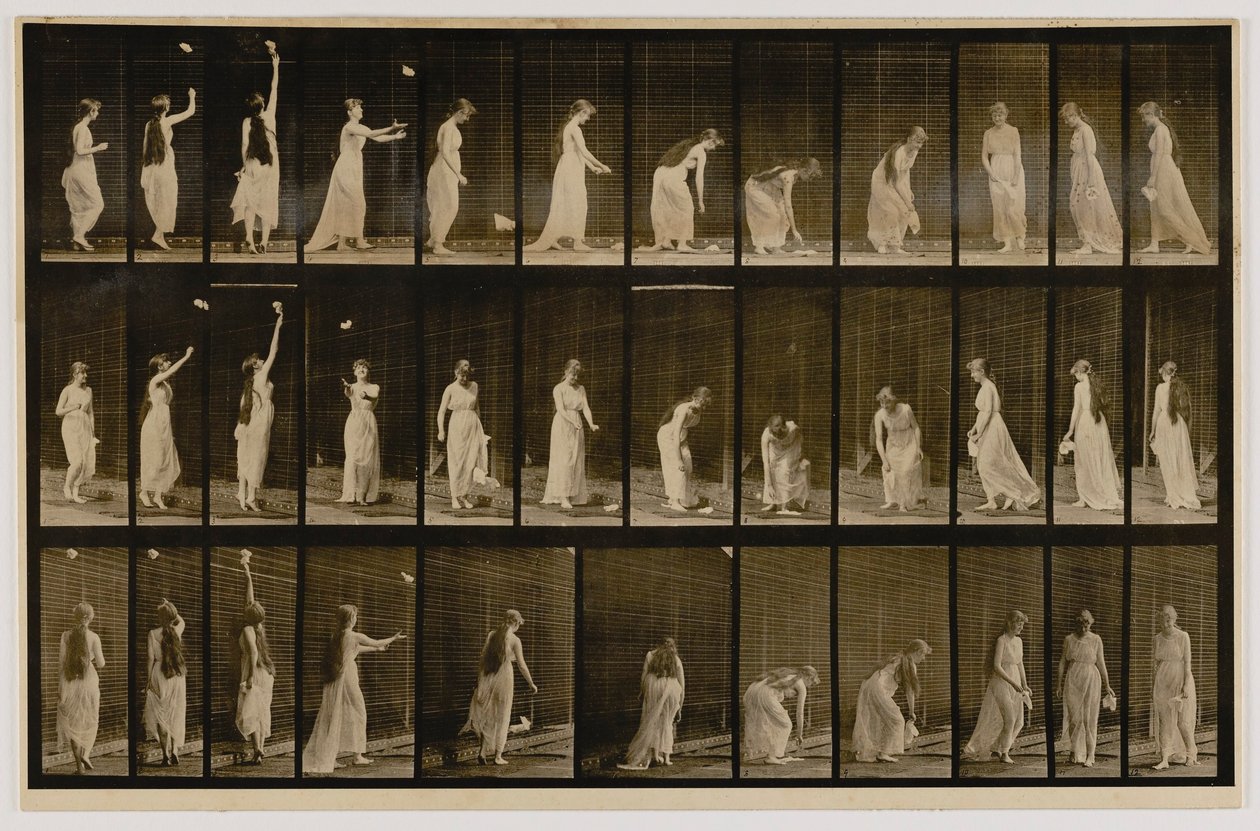 Woman Throwing Zsebkendőt dob a levegőbe, felveszi, az Animal Locomotion című könyvből alkotó: Eadweard Muybridge