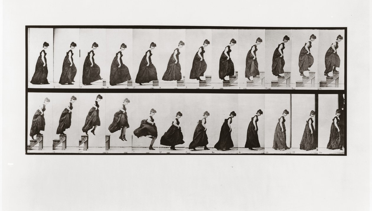 Lépcsőn mászó és leugró nő, 173-as tábla az Animal Locomotion-ból, 1887 alkotó: Eadweard Muybridge