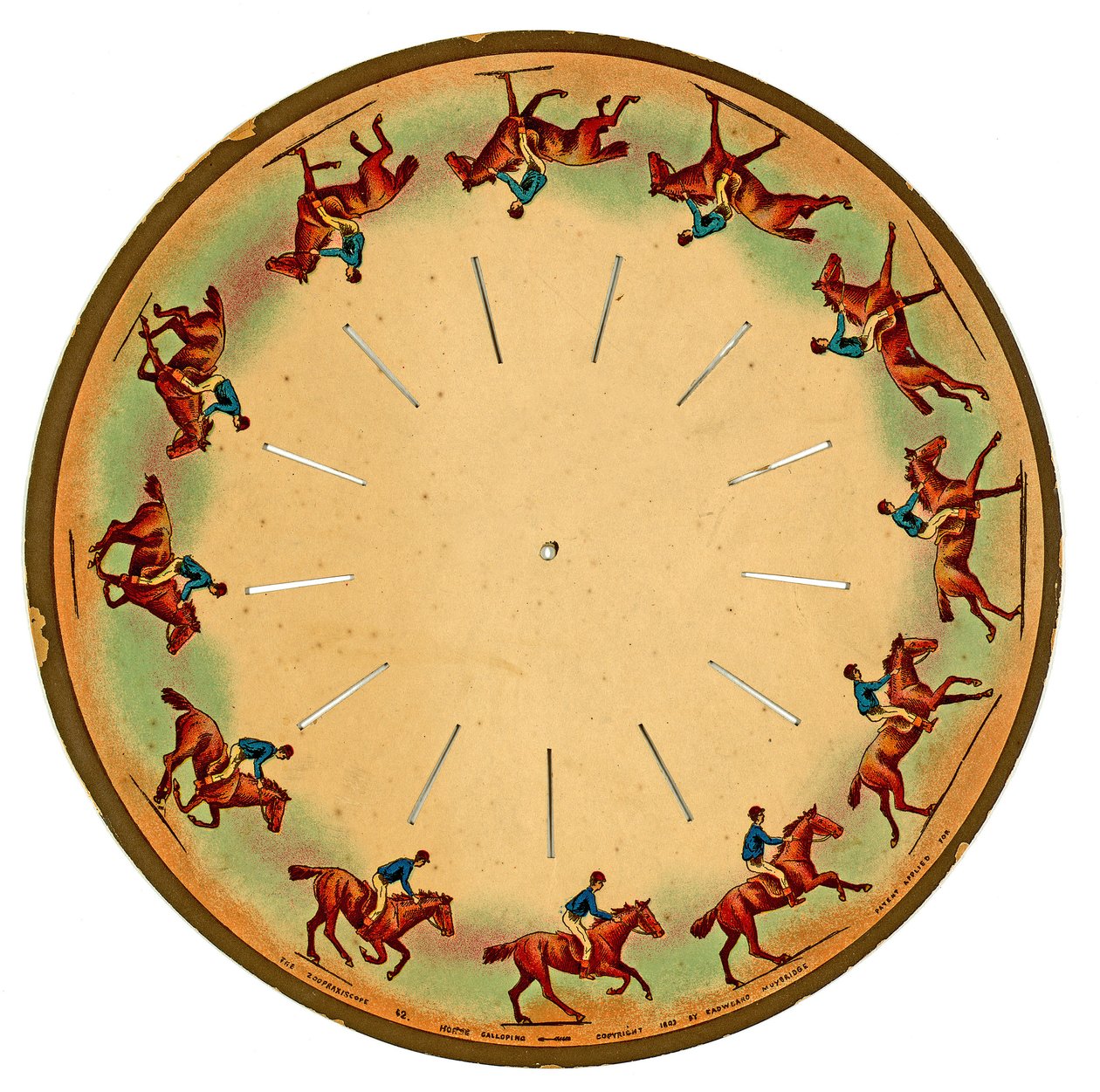 zoopraxiscope korong, amelyen egy ló vágtat, 1893 alkotó: Eadweard Muybridge