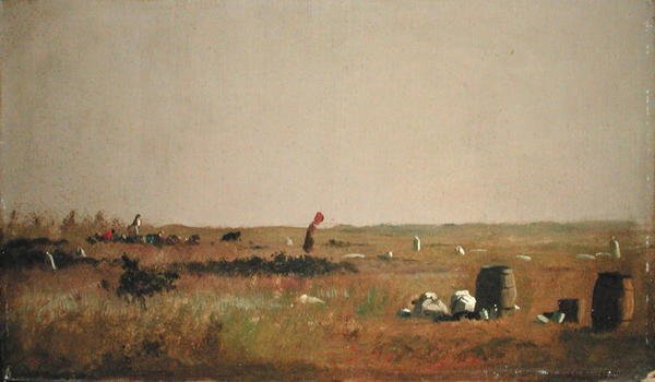 Tanulmány áfonyaszedők számára (olaj a fedélzeten) alkotó: Eastman Johnson